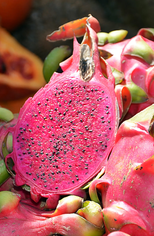 Seedeo® Rote Drachenfrucht / Pitahaya (Hylocereus costaricensis) 20 Samen