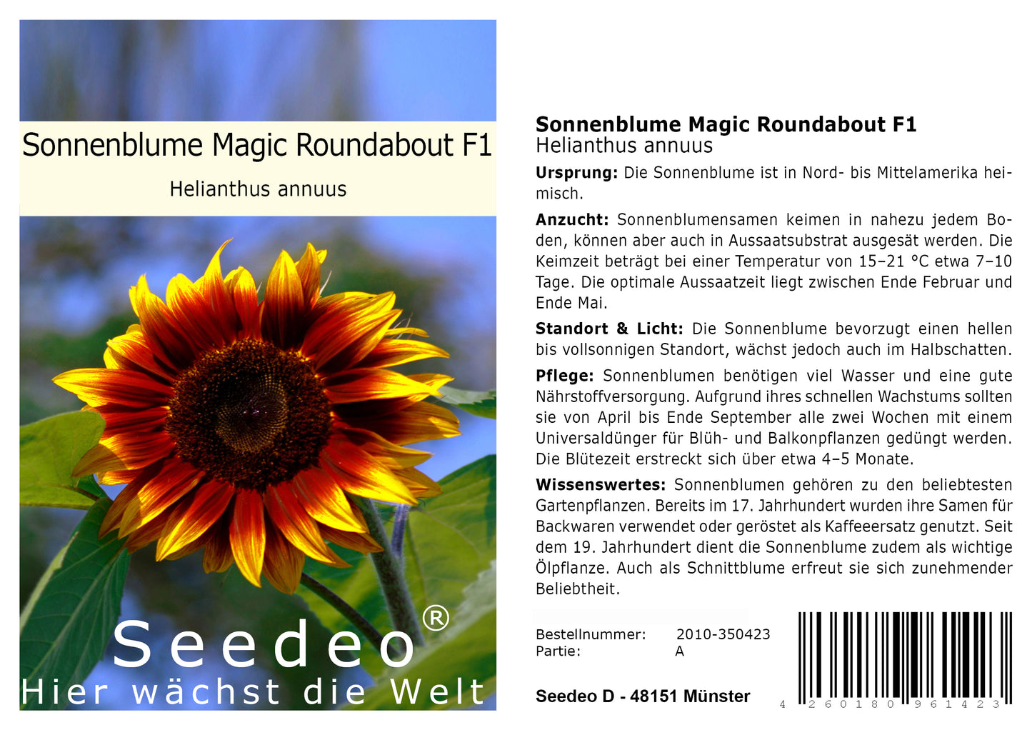 Seedeo® Sonnenblume Magic Roundabout F1 (Helianthus annuus) 20 Samen