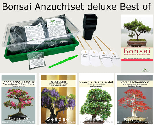 Seedeo® Bonsai Anzuchtset deluxe Best of (Japanische Blüten- und Zierkirsche, Blauregen,Zwerg-Granatapfel, Roter Fächerahorn,Japanische Kamelie)