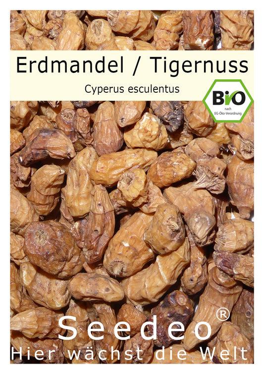 Seedeo® Erdmandel „Tigernuss Chufa“ (Cyperus esculentus) 10 Samen BIO