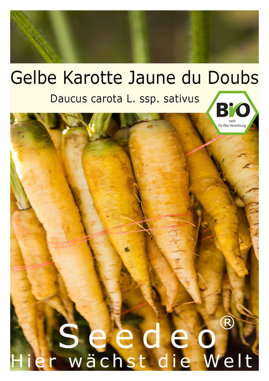 Seedeo® Gelbe Karotte Jaune du Doubs (Daucus carota L. ssp. sativus) 100 Samen BIO
