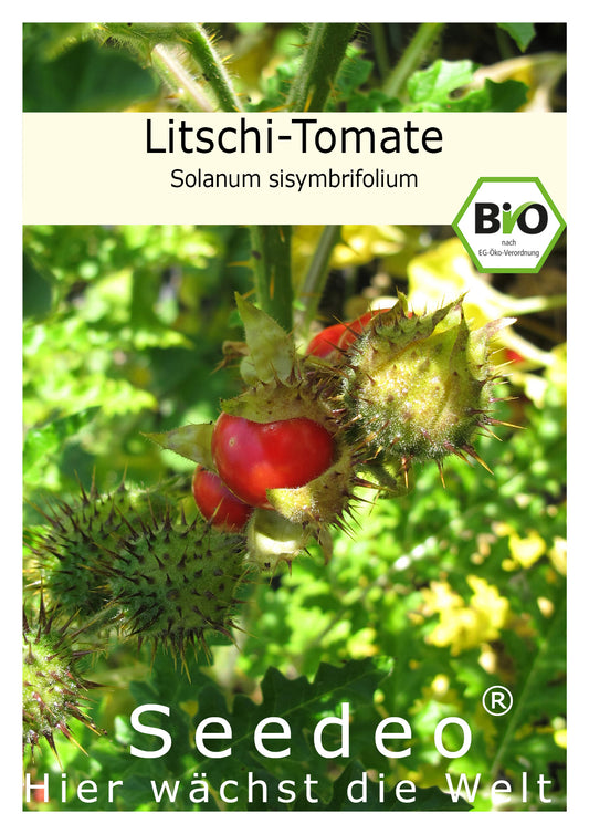 Seedeo® Tomate Litschi Tomate (Solanum sisymbrifolium) 15 Samen BIO