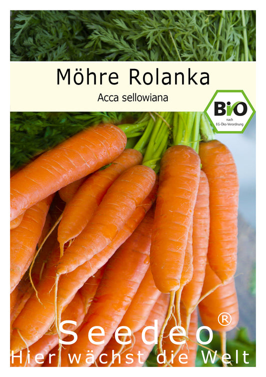 Seedeo® Möhre Rolanka (Daucus carota subsp. sativus) ca. 100 Samen BIO