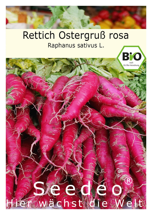 Seedeo® Rettich Ostergruß rosa (Raphanus sativus L.) 250 Samen BIO