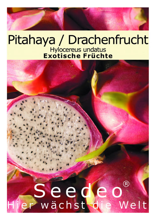 Seedeo® Rote Drachenfrucht / Pitahaya (Hylocereus costaricensis) 20 Samen