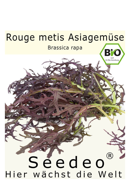 Seedeo® Rouge metis Asiagemüse (Brassica rapa) ca. 500 Samen BIO