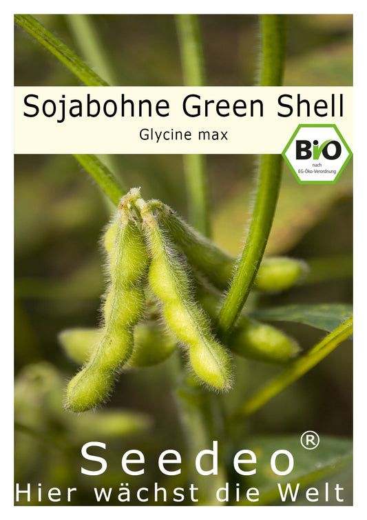Seedeo® Sojabohne Green Shell ( Glycine max ) Edamame-Sorte 30 Samen BIO