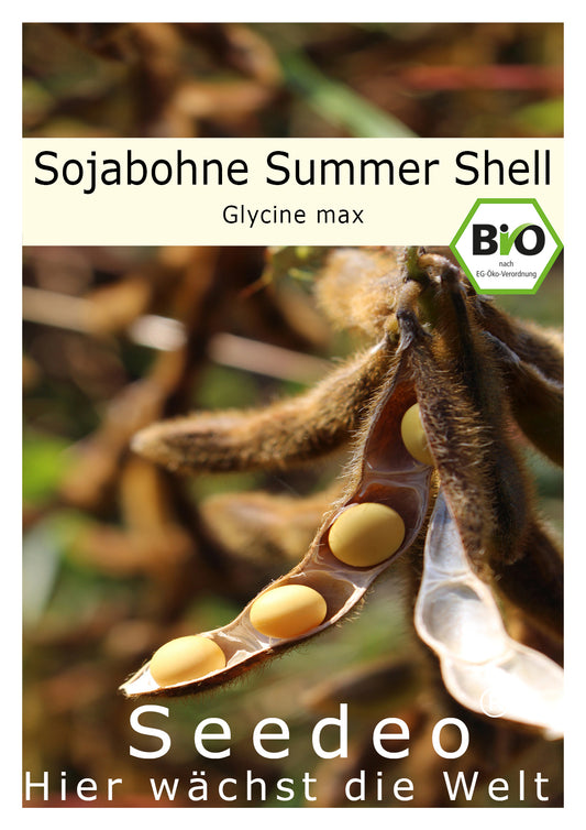 Seedeo® Sojabohne Summer Shell ( Glycine max ) Edamame-Sorte 30 Samen BIO