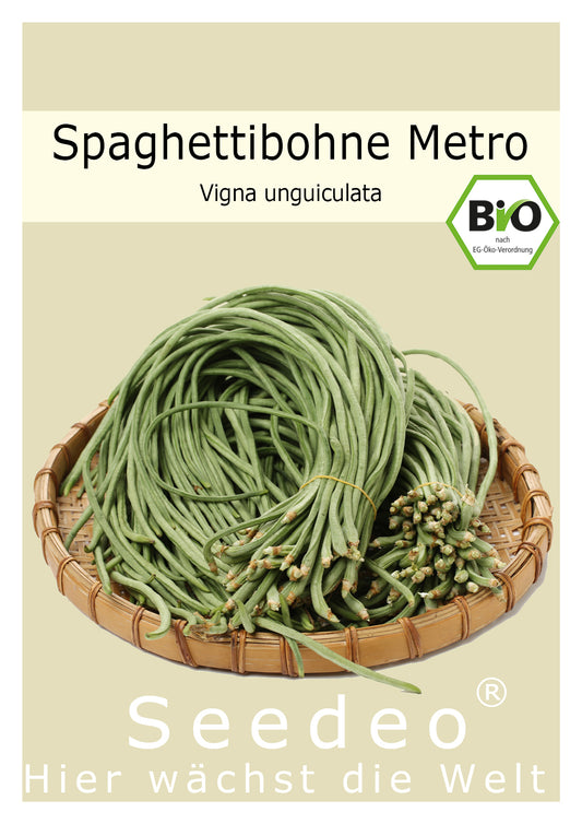 Seedeo® Spaghettibohne Metro (Vigna unguiculata) 20 Samen BIO