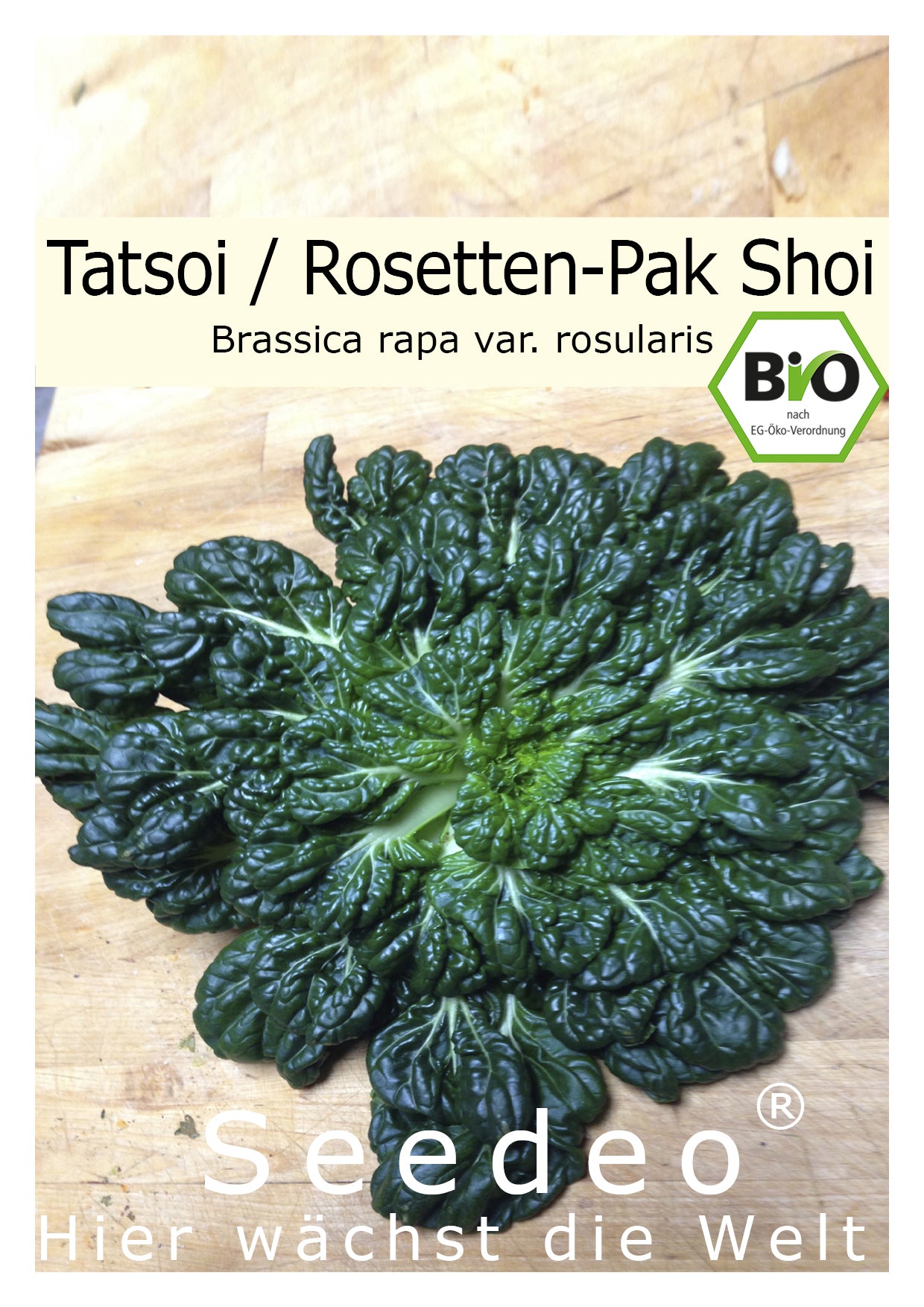 Seedeo® Tatsoi-Rosetten Pak Choi (Brassica rapa var. rosularis) 500 Sa
