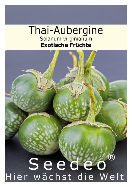 Seedeo® Thai-Aubergine Solanum virginianum 20 Samen