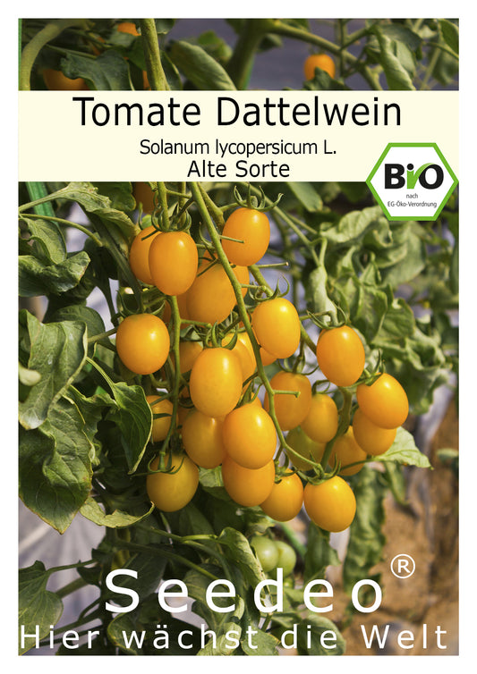 Seedeo® Tomate Dattelwein (Lycopersicum esculentum) 20 Samen BIO