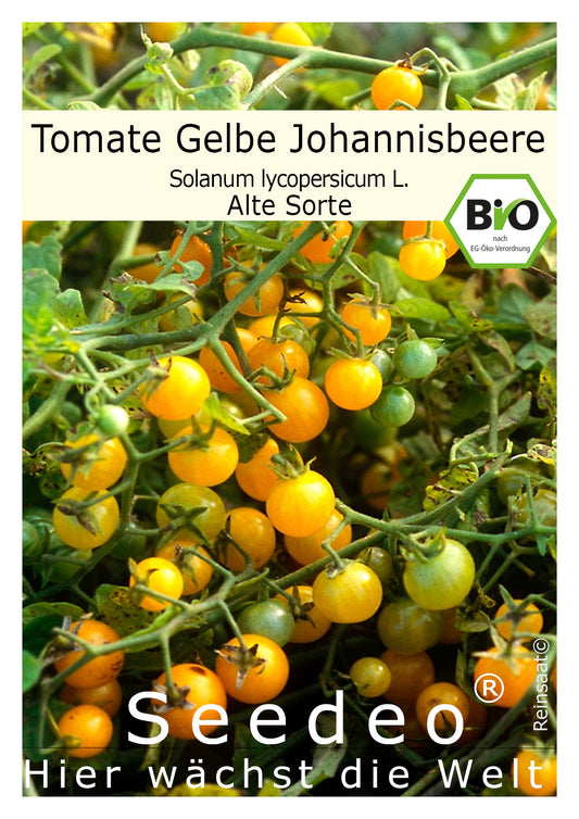 Seedeo® Tomate Gelbe Johannisbeere (Lycopersicum esculentum Mill.) 30 Samen BIO