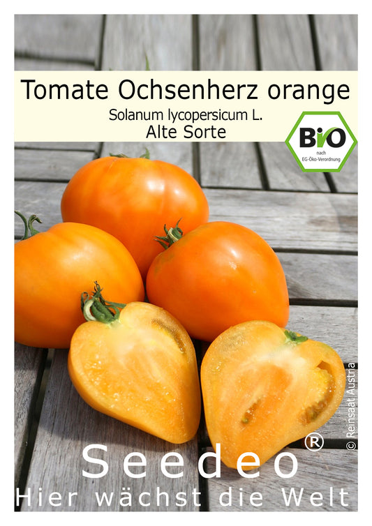 Seedeo® Tomate Ochsenherz orange / cœur de bœuf ( Lycopersicum L.) 20 Samen BIO