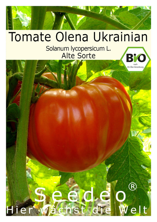 Seedeo® Tomate Olena Ukrainian (Lycopersicum L.) 25 Samen BIO