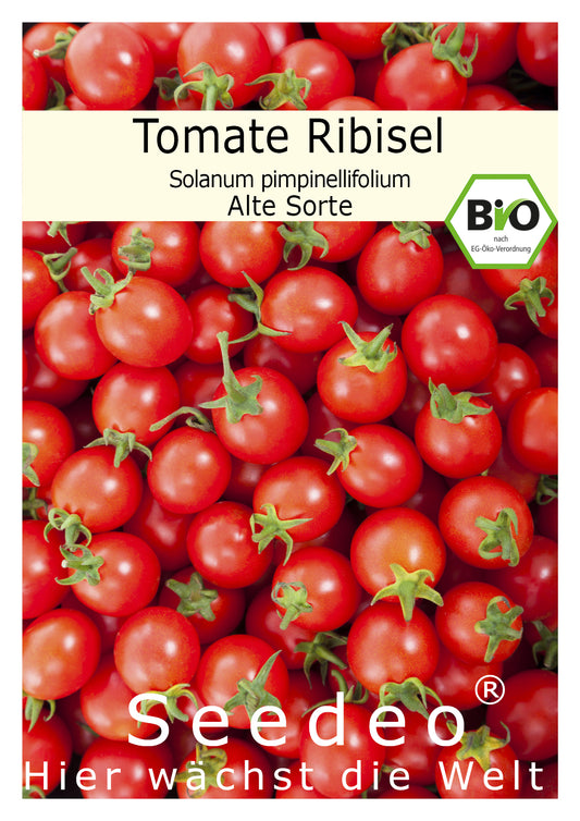 Seedeo® Tomate Rote Ribisl (Lycopersicum esculentum Mill.) 20 Samen BIO