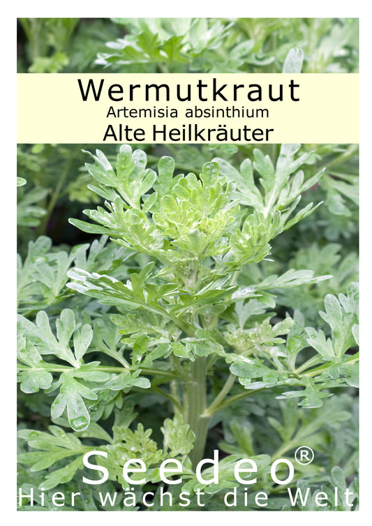 Seedeo® Wermutkraut (Artemisia absinthium) 1000 Samen