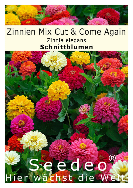 Seedeo® Zinnien Mischung Mix Cut & Come Again ca. 150 Samen