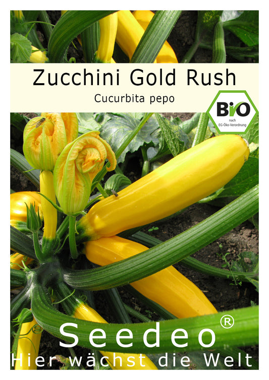Seedeo® Zucchini Gold Rush (Cururbita pepo L.) 20 Samen BIO