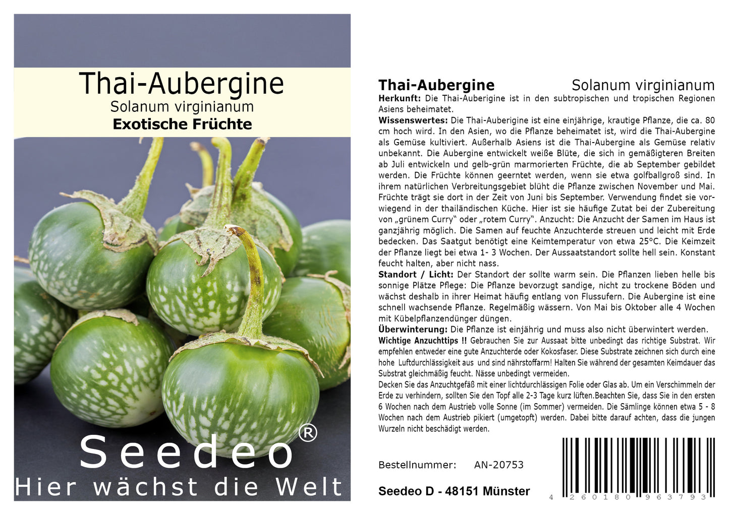 Seedeo® Thai-Aubergine Solanum virginianum 20 Samen