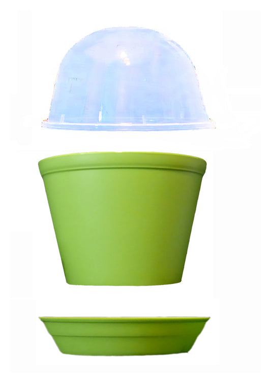 Seedeo® 1 Anzuchttopf in Hellgrün + Erde