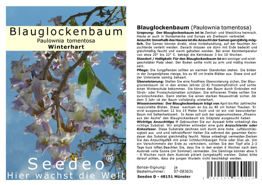 Seedeo® Blauglockenbaum - (Paulownia tomentosa) 200 Samen