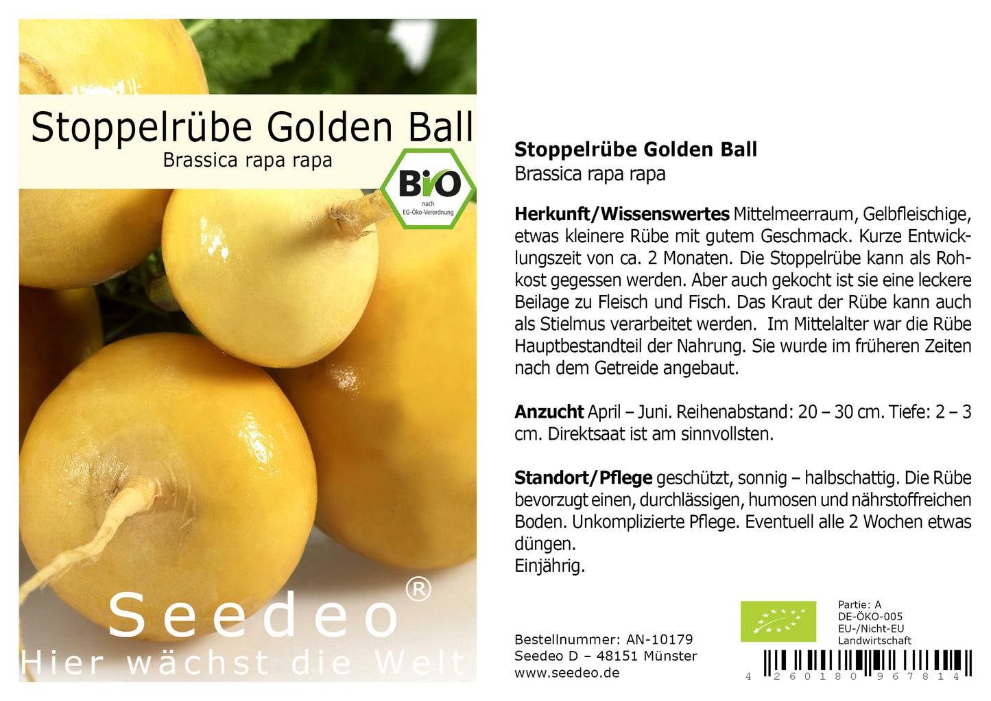 Seedeo® Stoppelrübe Golden Ball (Brassica rapa rapa) ca. 200 Samen BIO
