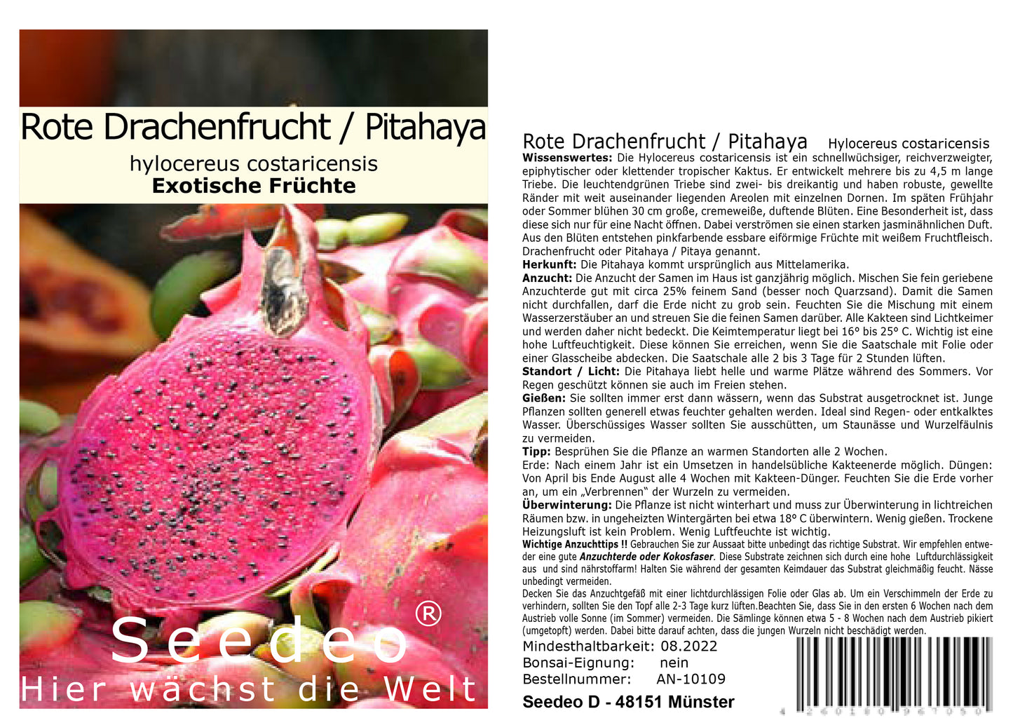 Seedeo® Rote Drachenfrucht / Pitahaya (Hylocereus costaricensis) 20 Samen