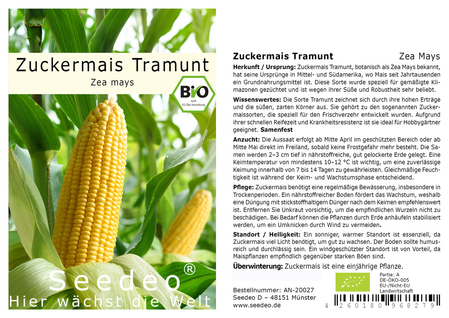 Seedeo® Zuckermais Tramunt (Zea Mays) ca. 20 Samen