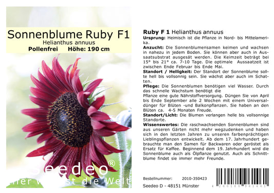 Seedeo® Sonnenblume Ruby- F 1 (Helianthus annuus) 20 Samen