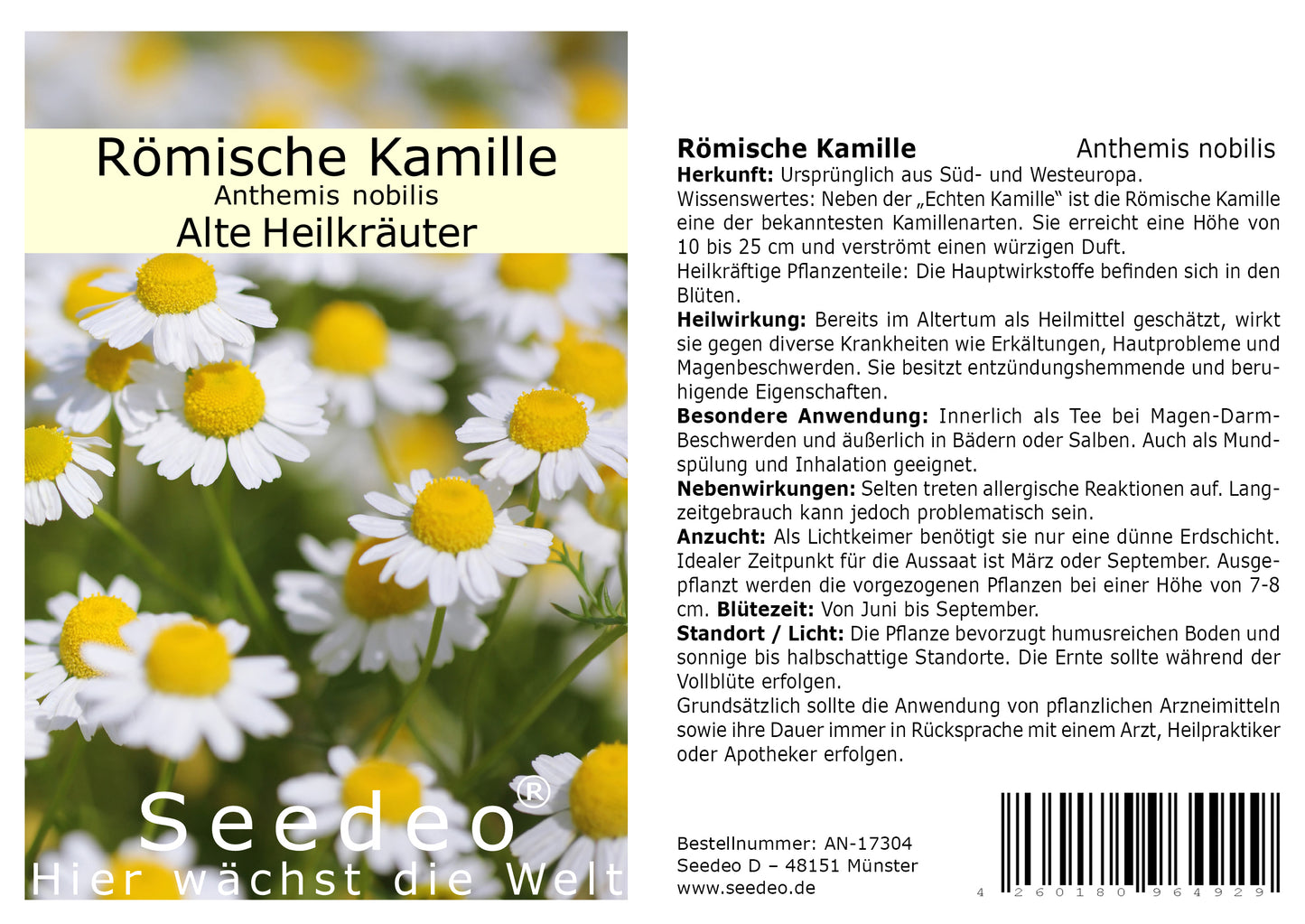 Seedeo® Römische Kamille (Anthemis nobilis) 500 Samen – Ansicht 3