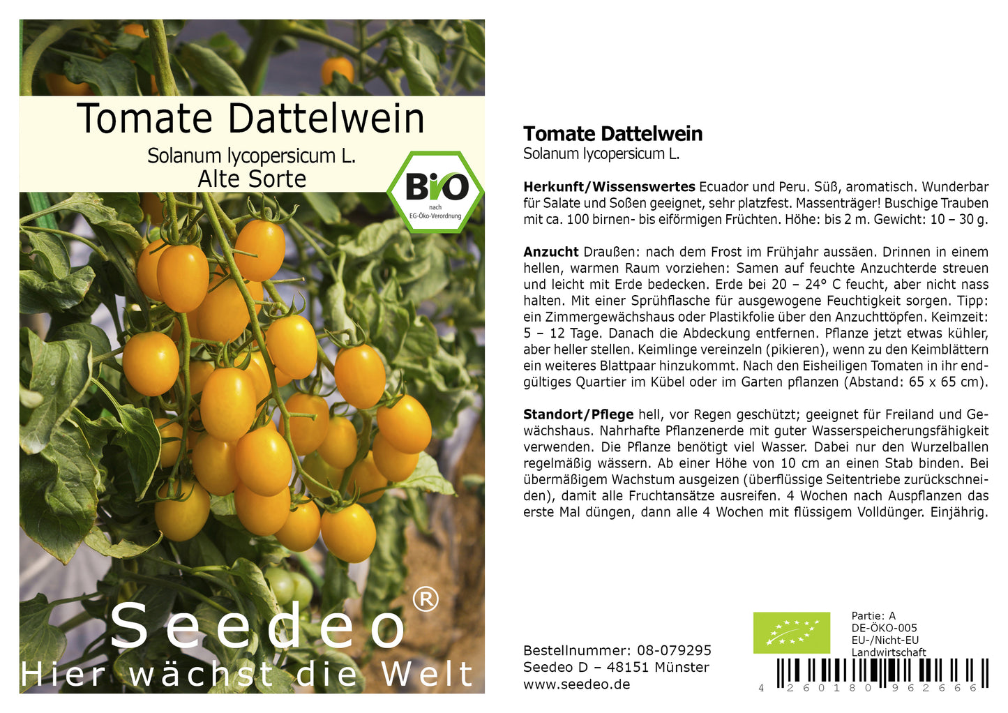 Seedeo® Tomate Dattelwein (Lycopersicum esculentum) 20 Samen BIO
