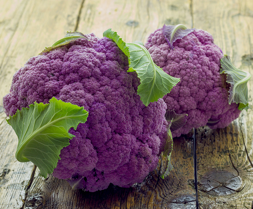 Seedeo® Blumenkohl Di Sicilia violetto (Brassica oleracea var. botrytis L.) 50 Samen BIO