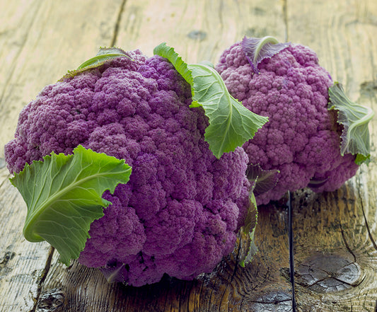 Seedeo® Blumenkohl Di Sicilia violetto (Brassica oleracea var. botrytis L.) 50 Samen BIO