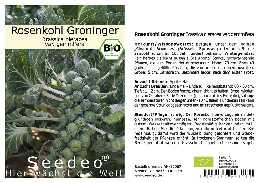 Seedeo® Rosenkohl Groninger (Brassica oleracea var. gemmifera) 50 Samen BIO