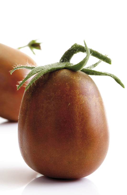 Seedeo® Tomate Black Plum (Lycopersicum esculentum Mill.) 20 Samen BIO