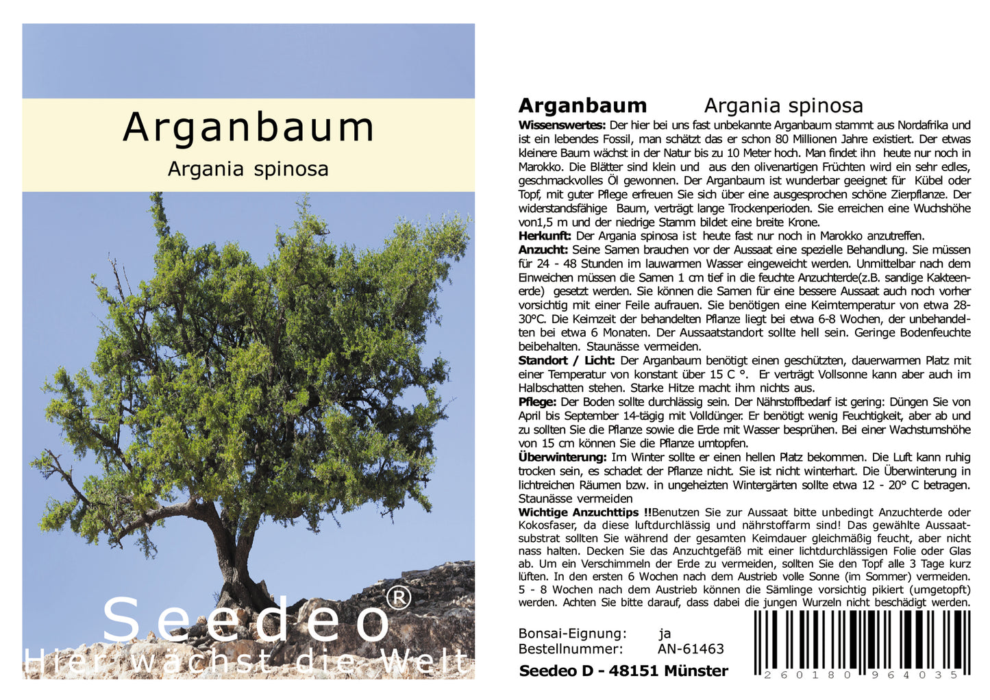 Seedeo® Arganbaum (Argania spinosa) 3 Samen