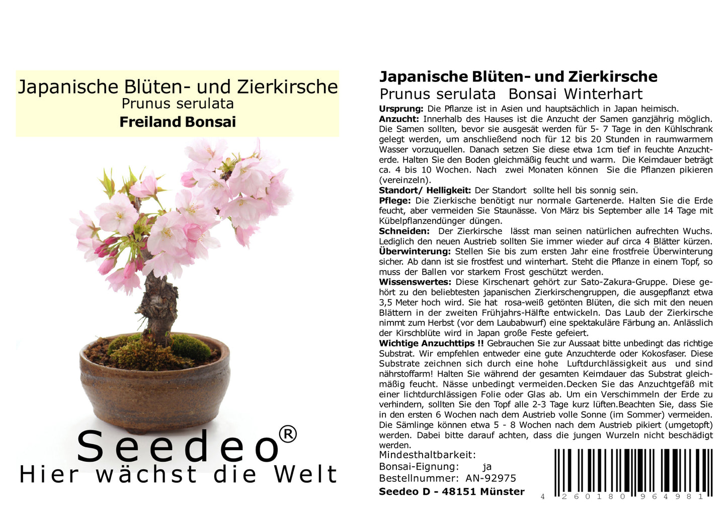 Seedeo® Japanische Blüten- und Zierkirsche (Prunus serulata) Bonsai 25 Samen