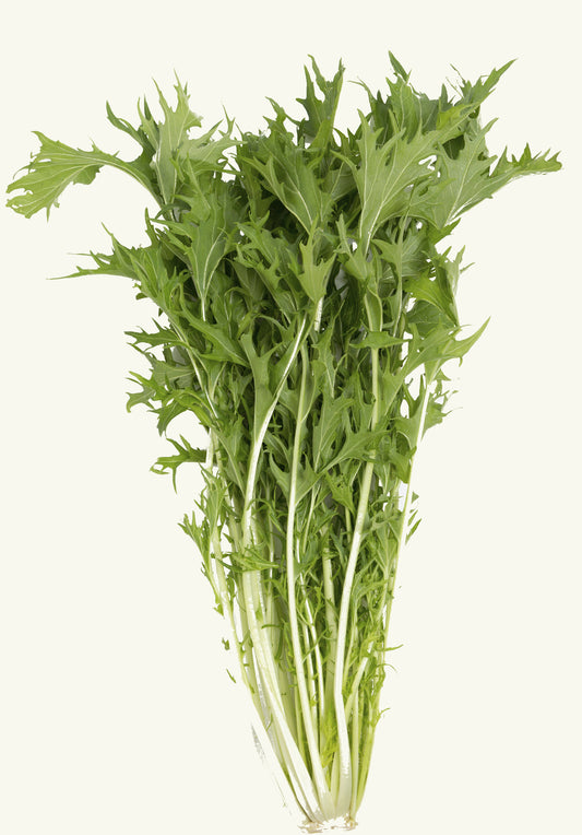 Seedeo® Mizuna (Brassica rapa var. japonica) 500 Samen BIO