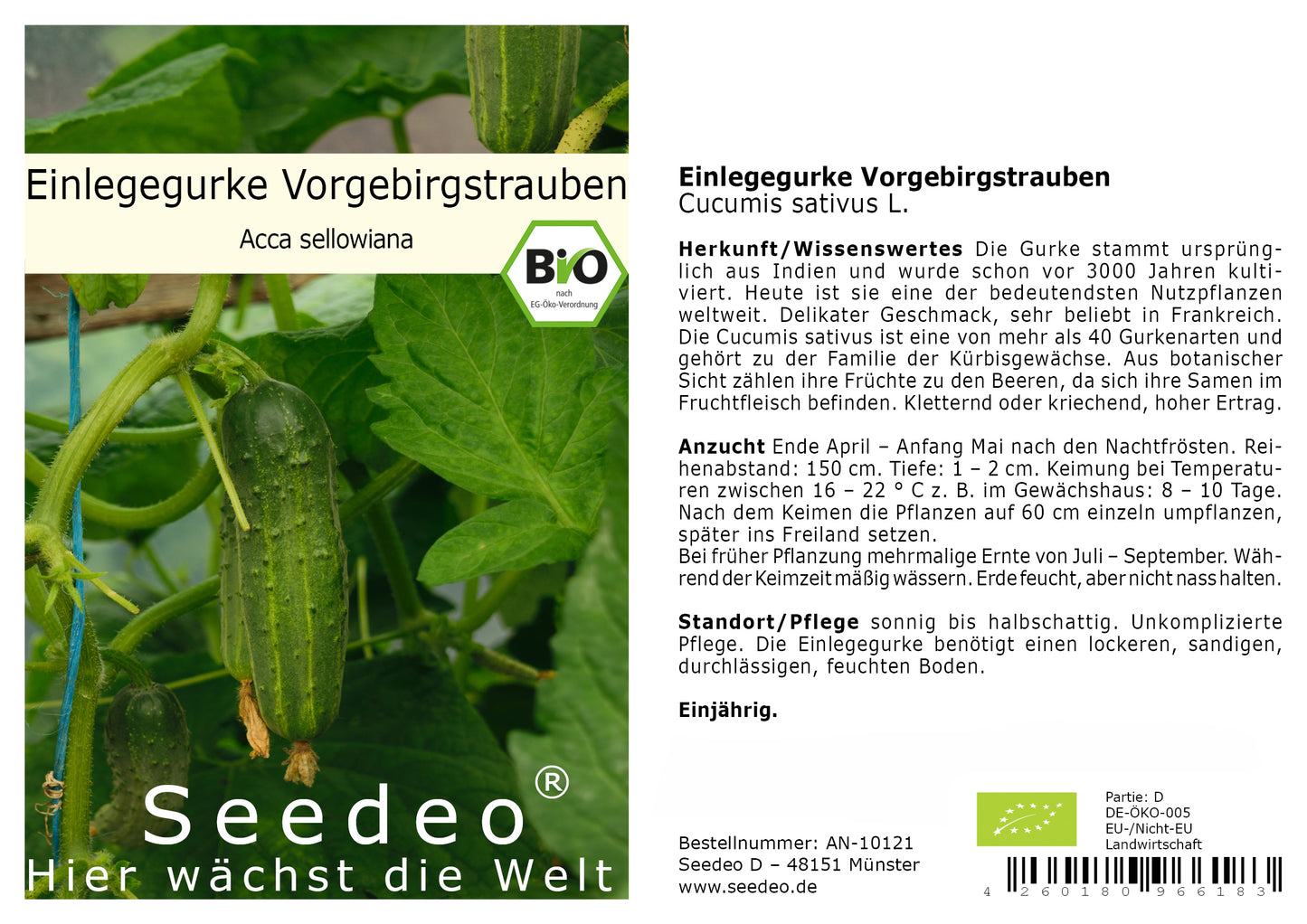 Seedeo® Einlegegurke / Gurke Vorgebirgstrauben (Cucumis sativus L.) ca. 30 Samen BIO