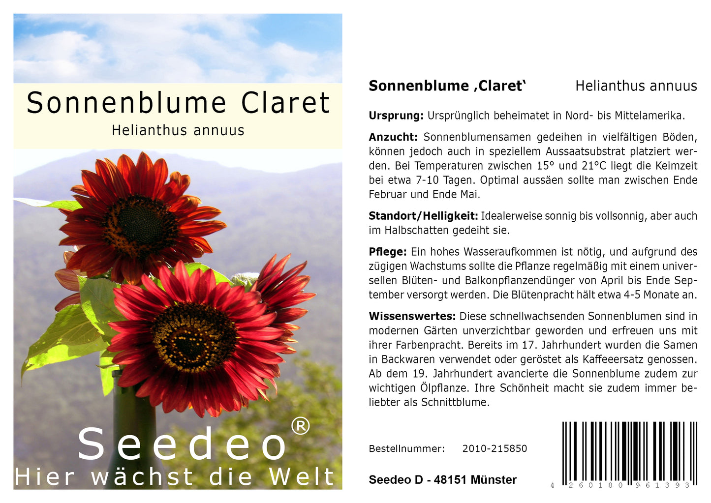 Seedeo® Sonnenblume Claret (Helianthus annuus) 20 Samen