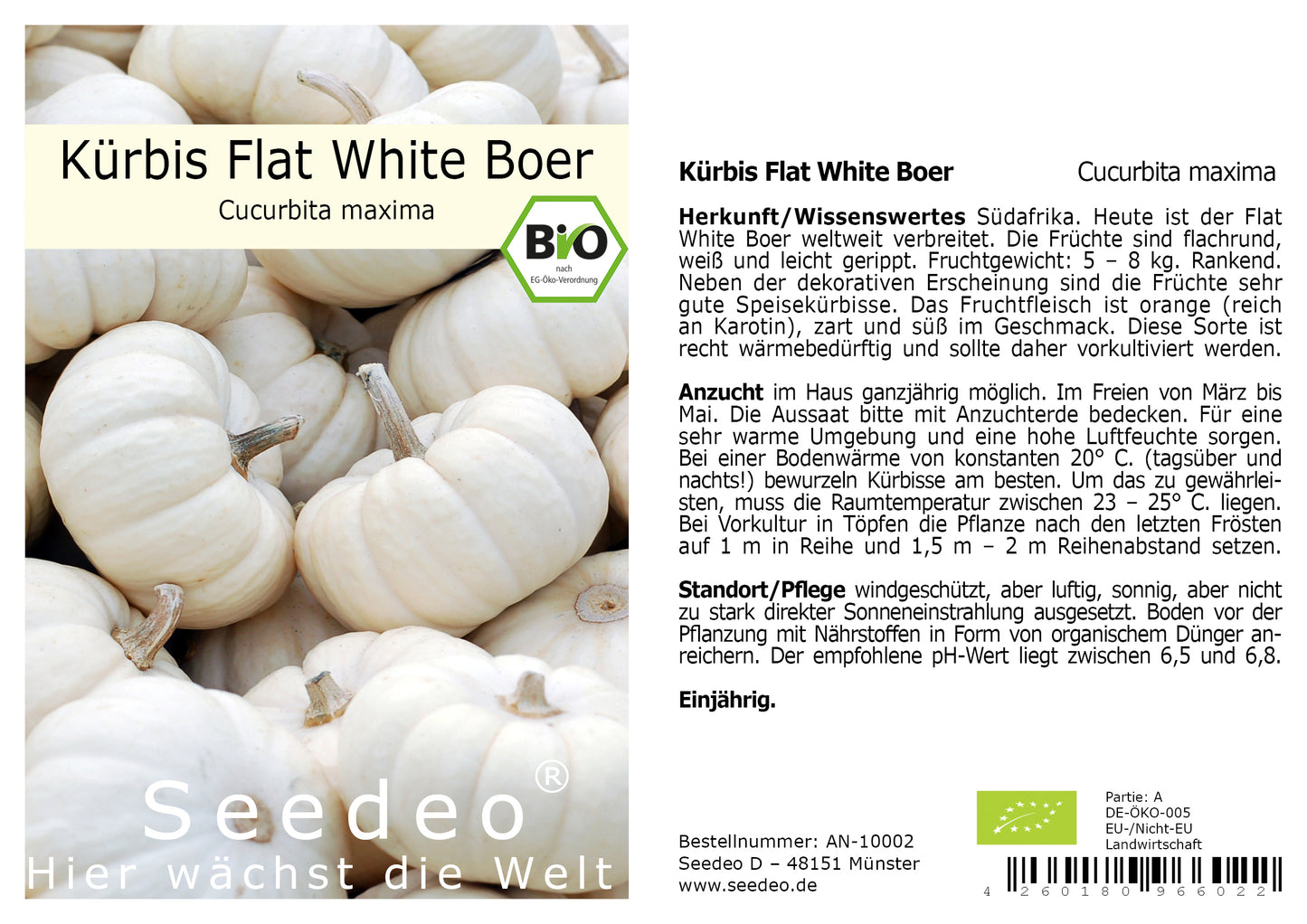 Seedeo® Kürbis Flat White Boer (Cucurbita maxima) 10 Samen BIO
