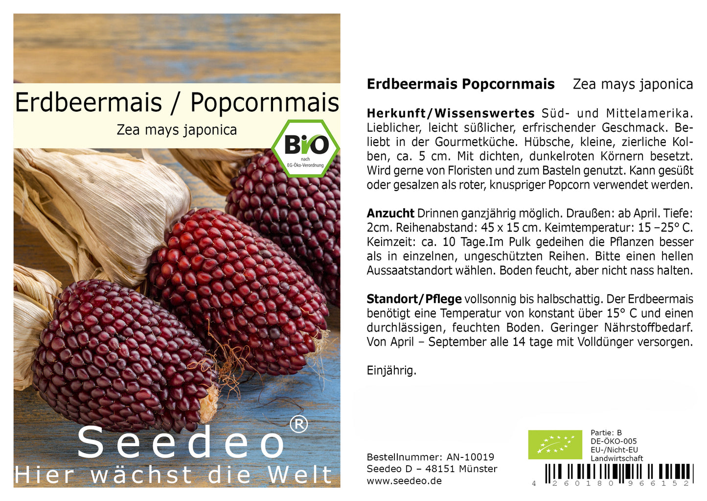 Seedeo® Erdbeermais, Popcornmais (Zea mays japonica) ca. 20 Samen BIO