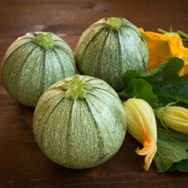 Seedeo® Zucchini Tondo chiaro di Nizza (Cucurbita pepe) 15 Samen BIO