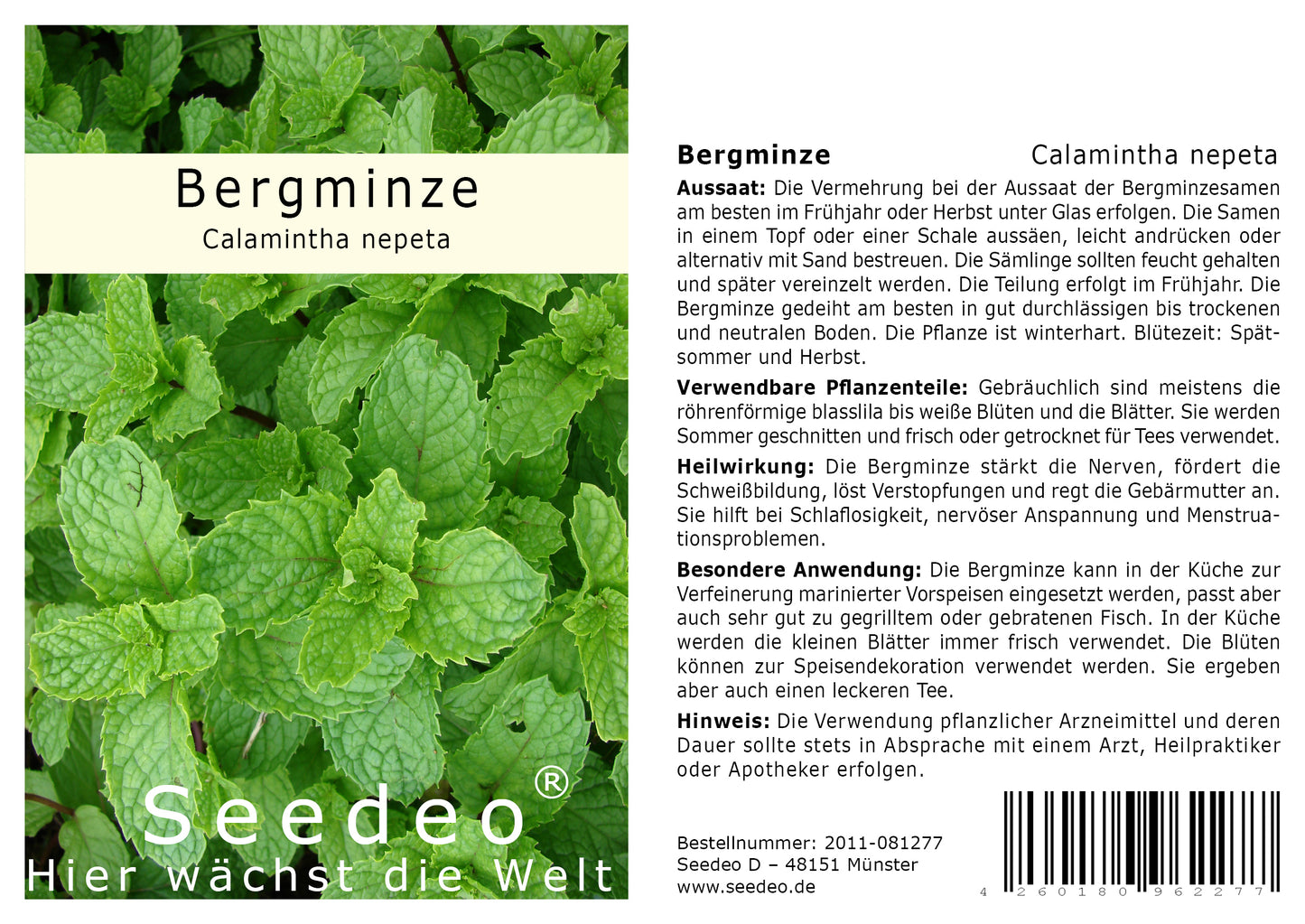 Seedeo® Bergminze (Calamintha nepeta) 100 Samen