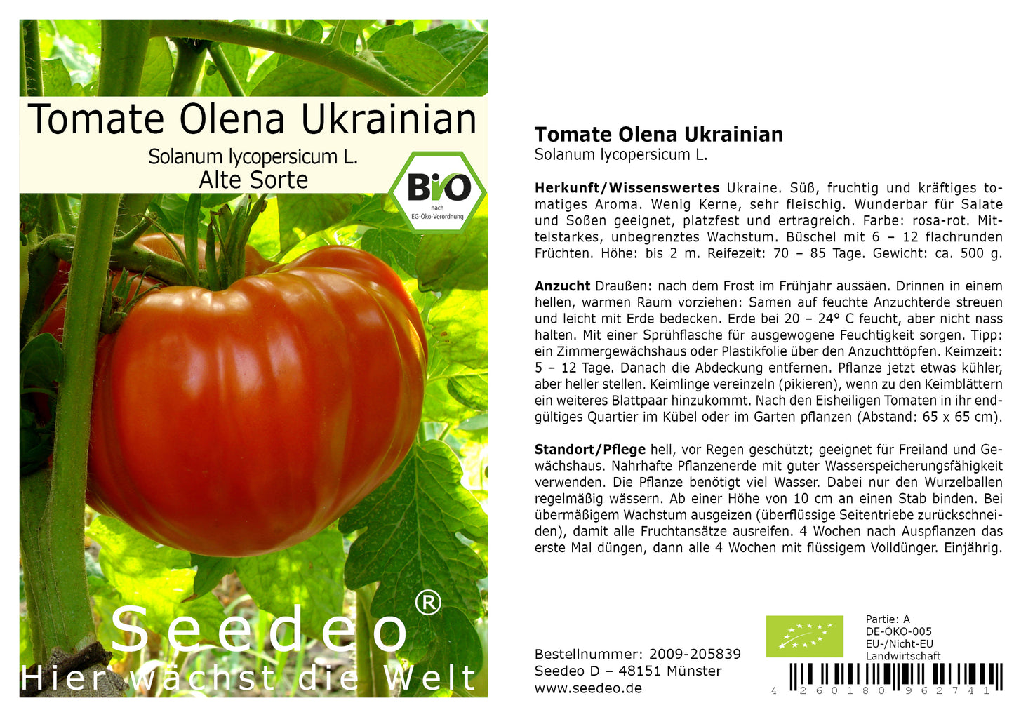 Seedeo® Tomate Olena Ukrainian (Lycopersicum L.) 25 Samen BIO
