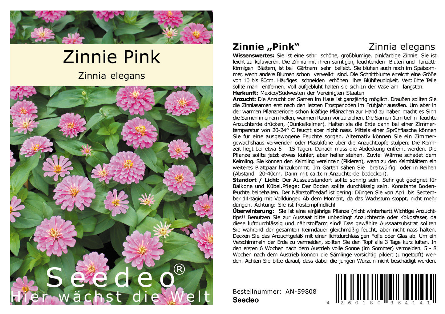 Seedeo® Zinnie Pink (Zinnia elegans) 50 Samen