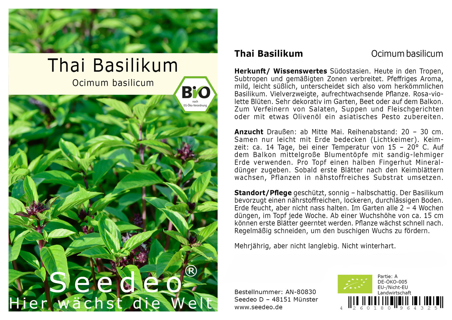 Seedeo® Thai Basilikum (Ocimum basilicum) 200 Samen BIO