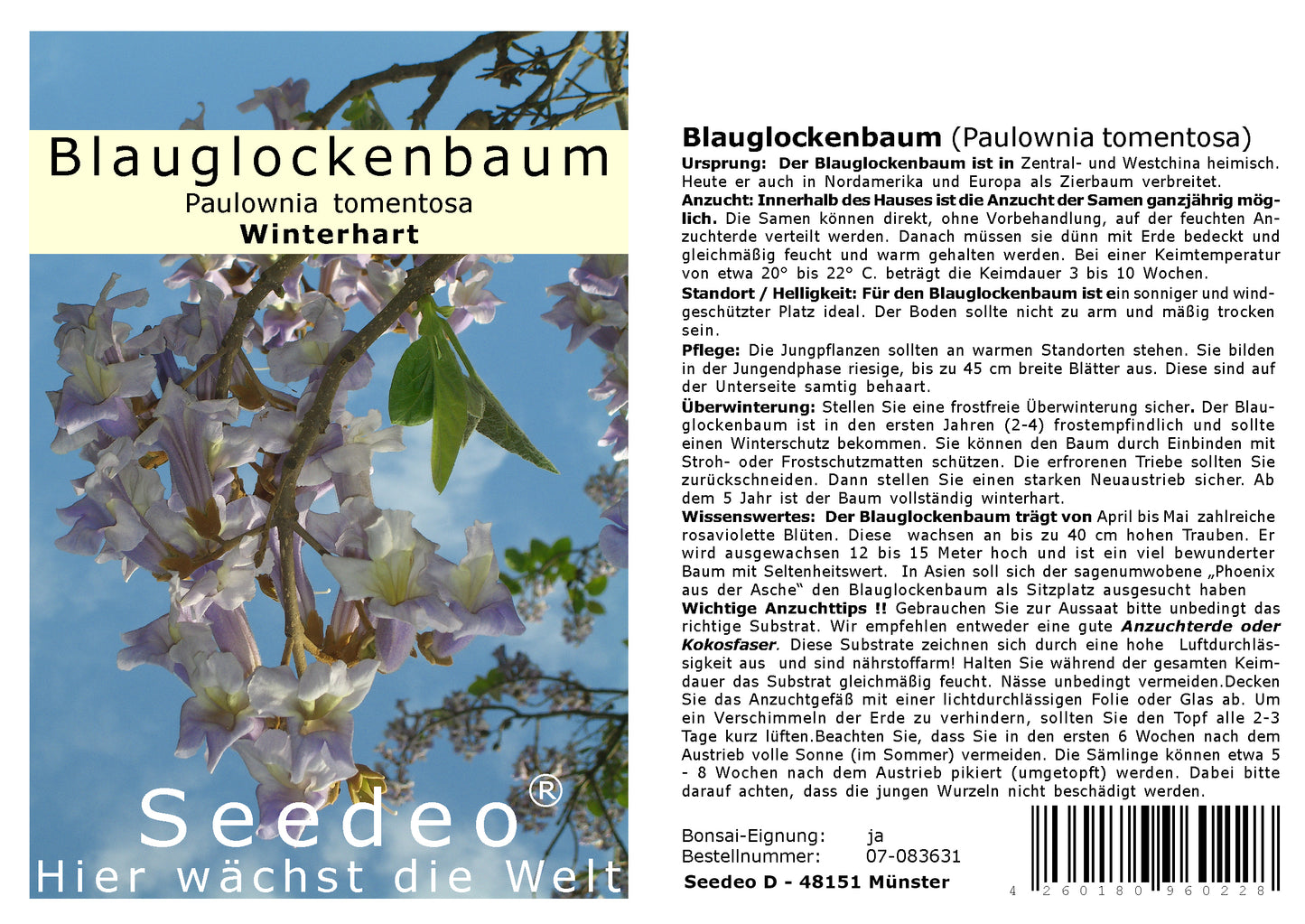 Seedeo® Blauglockenbaum - (Paulownia tomentosa) 200 Samen