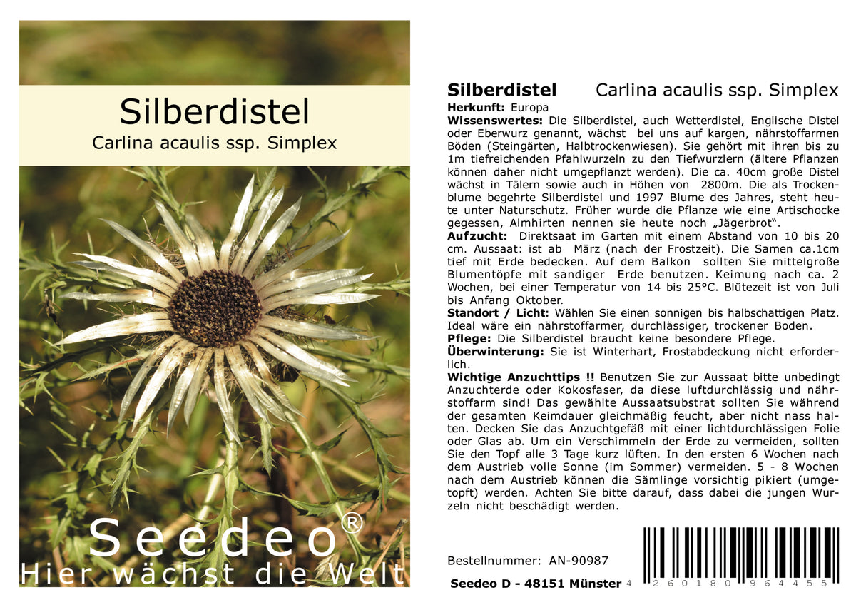 Seedeo® Silberdistel (Carlina acaulis ssp. Simplex) 30 Samen – Ansicht 3